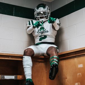 Arm Bands Dark Green (1 Pair)