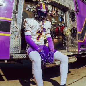 Double Arm Sleeves Purple (1 Pair)